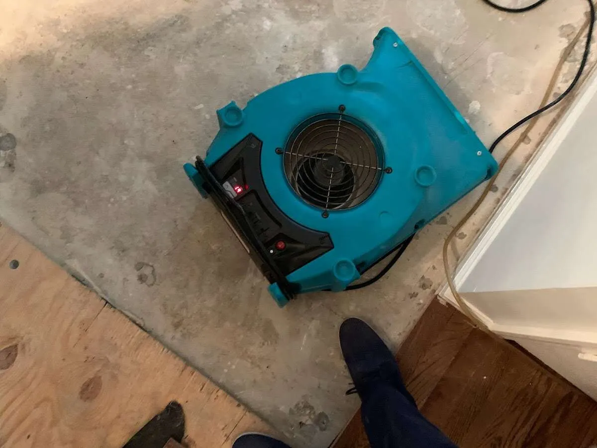 Air mover drying subfloor during Commercial Water Damage Restoration in Lisbon